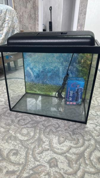 Продам аквариум с подсветкой и все к нему