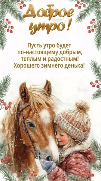 Мастер на час