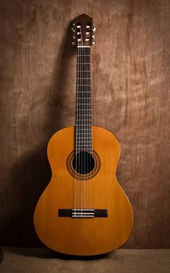 обучаю игре на гитаре, курсы гитары