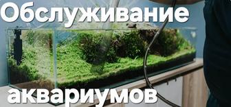Обслуживание аквариумов