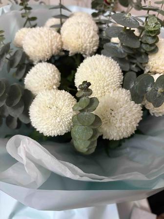 Продам букет Хризантема