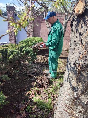 Услуги садовника в Алматы
Профессиональный уход за вашим участком.