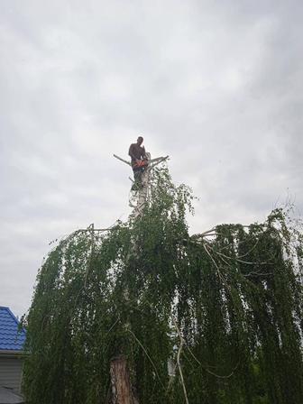 Спил деревьев покос травы