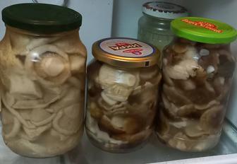 Продам грибы соленые грузди и рядовки