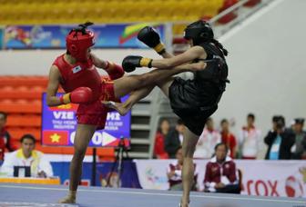 Боевое самбо, Ушу- Саньда