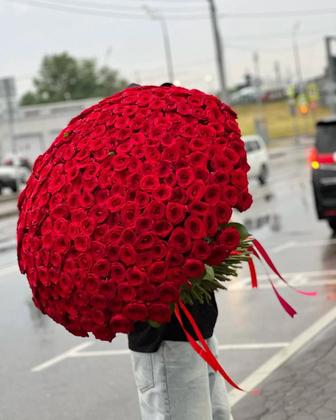 Цветы, розы