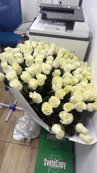 Продам букет белых роз