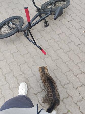 Велосипед БМХ