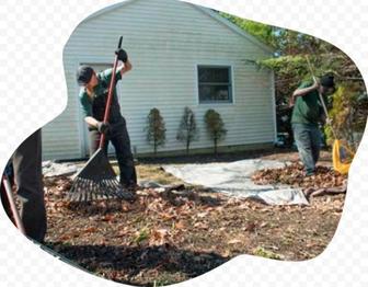 Чистка Садовых участков Дачных участков