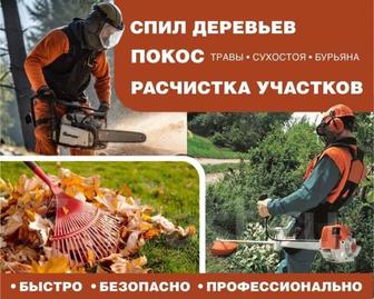 Уборка дачных участков от сухостоя