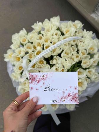 Букет белых тюльпанов (101 штук)