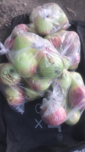 Алматинский апорт яблоки