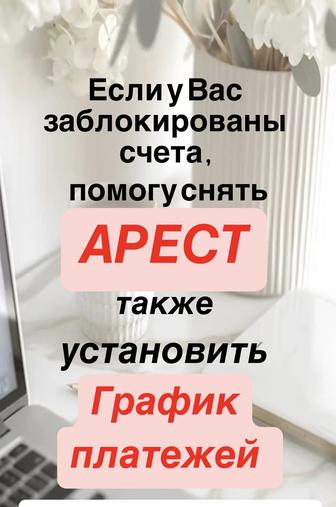 Снятие ареста счетов, график платежей
