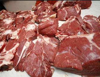 Мясо конина