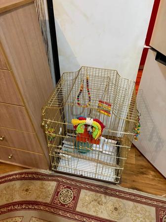 Продаю клетку для попугая