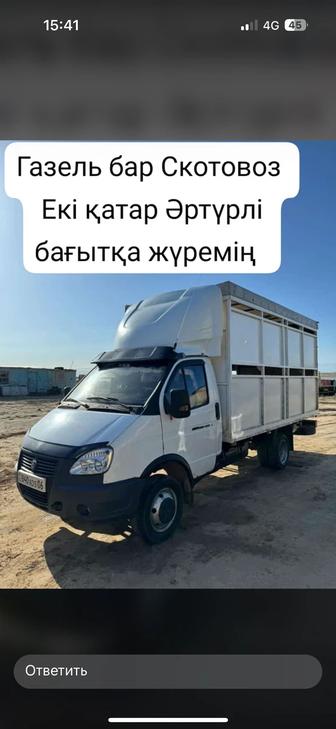 Газель Скатавоз