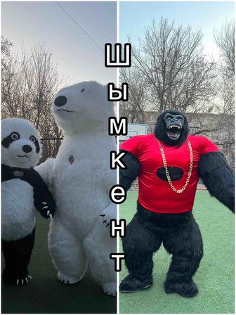 Аниматор Шымкент