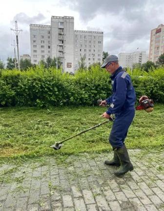 Покос травы ,стрижка газона
