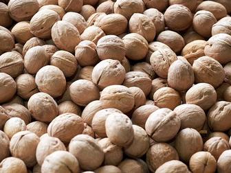 Грецкие орех