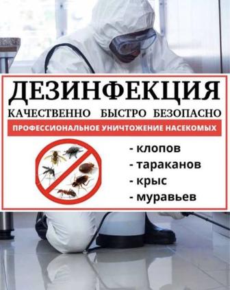 Дезинфекция/Дезинсекция/Дератизация/