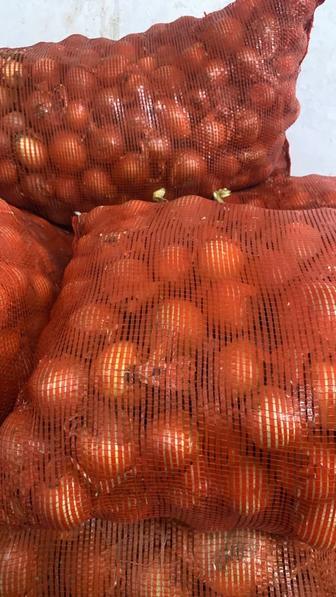 Продам овощи Картошка