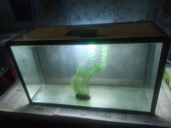 Аквариум 65л. Бонусы и рыбки.