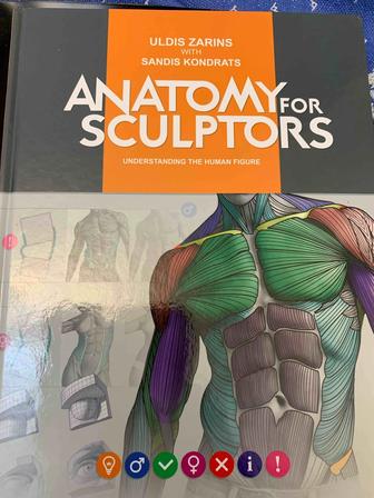Анатомия для скульпторов.