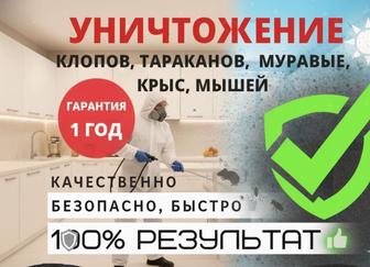Дезинфекция от тараканов и клопов с гарантией 1 год