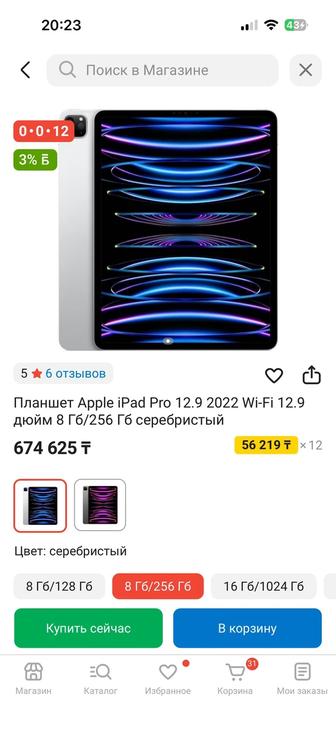 iPad Pro 12,9 дюймов/256гб