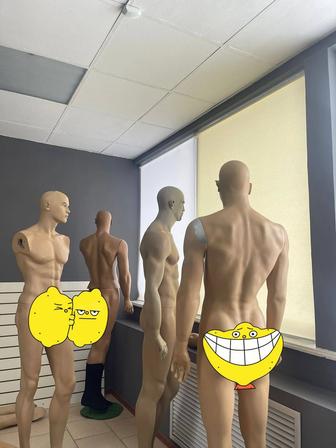 Манекены мужские и женские