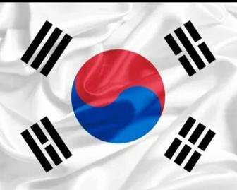 подача кота в южную корею