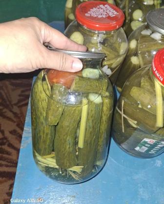 Продается домашние маринованные огурцы
