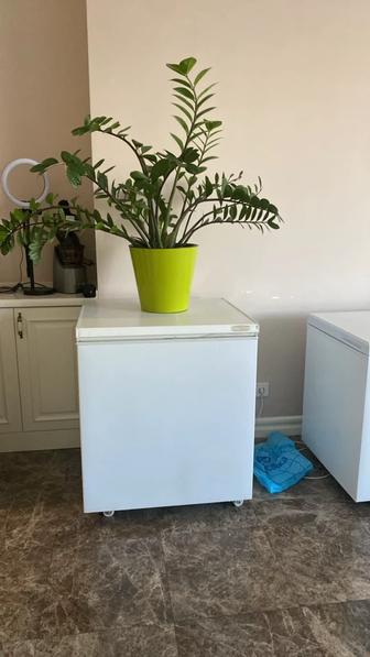 Морозильная камера