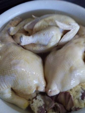 Продам. мясо. домашнего. бройлера.