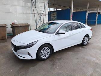 Аренда Elantra