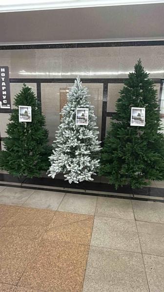 Новогодние елки премиум качества!