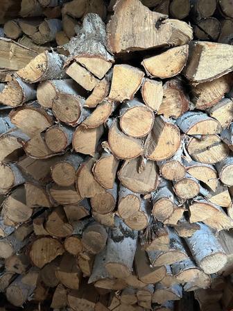 Дрова береза