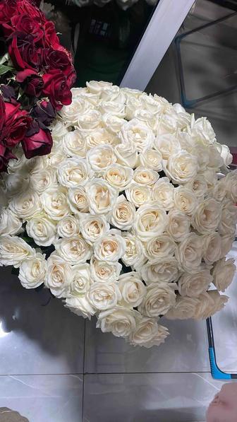 Цветы Роза 101 штук