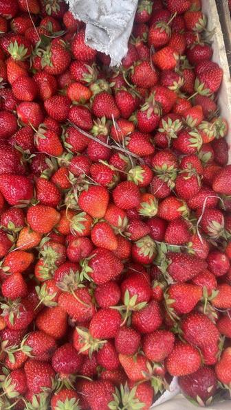 Предлагаем Сопровождение по Запуском новой продуктовой магазин