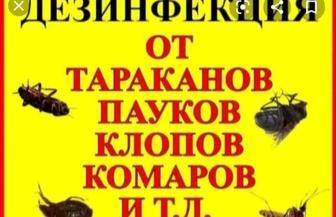 Дезинфекция 24/7 от клопов, тараканов и блох.