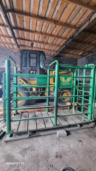 Таразы- Весы