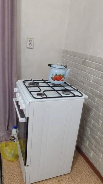 Сантехник _газовик.Газплиты,колонки.Устранение утечек
