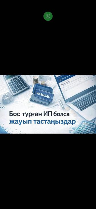 Помогогу сдать отчеты Без ошибок. Ип ТОО отчеты