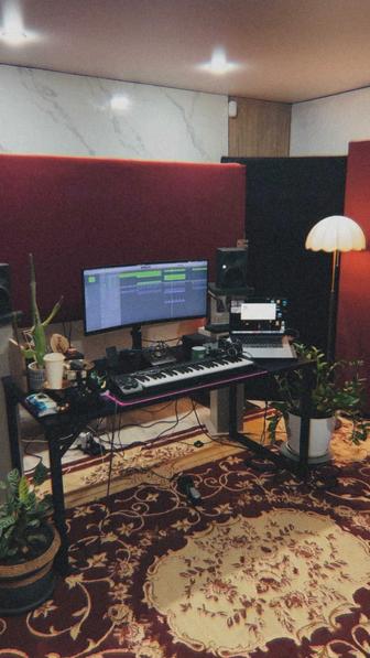 Студия звукозаписи TENIZ RECORDS