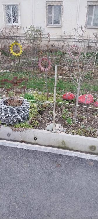 Дом и сад