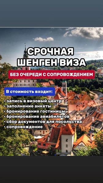 Шенген Виза вовсе страныЕвропы, виза в Америку, Англию, Австралию, Канаду..