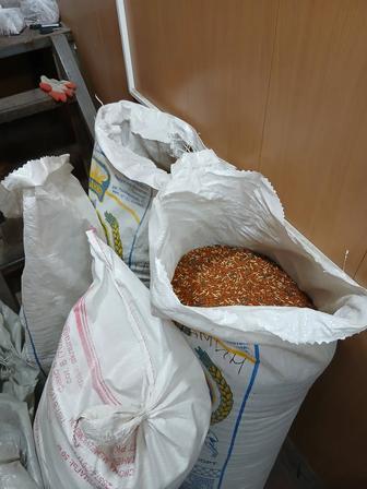 Корма для попугаев оптом