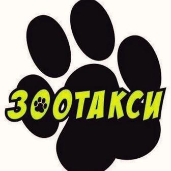 ЗОО такси