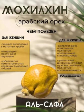 мохилхин орех-бесплодия, простатит, низкий % спермы