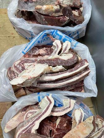 Мясо конина